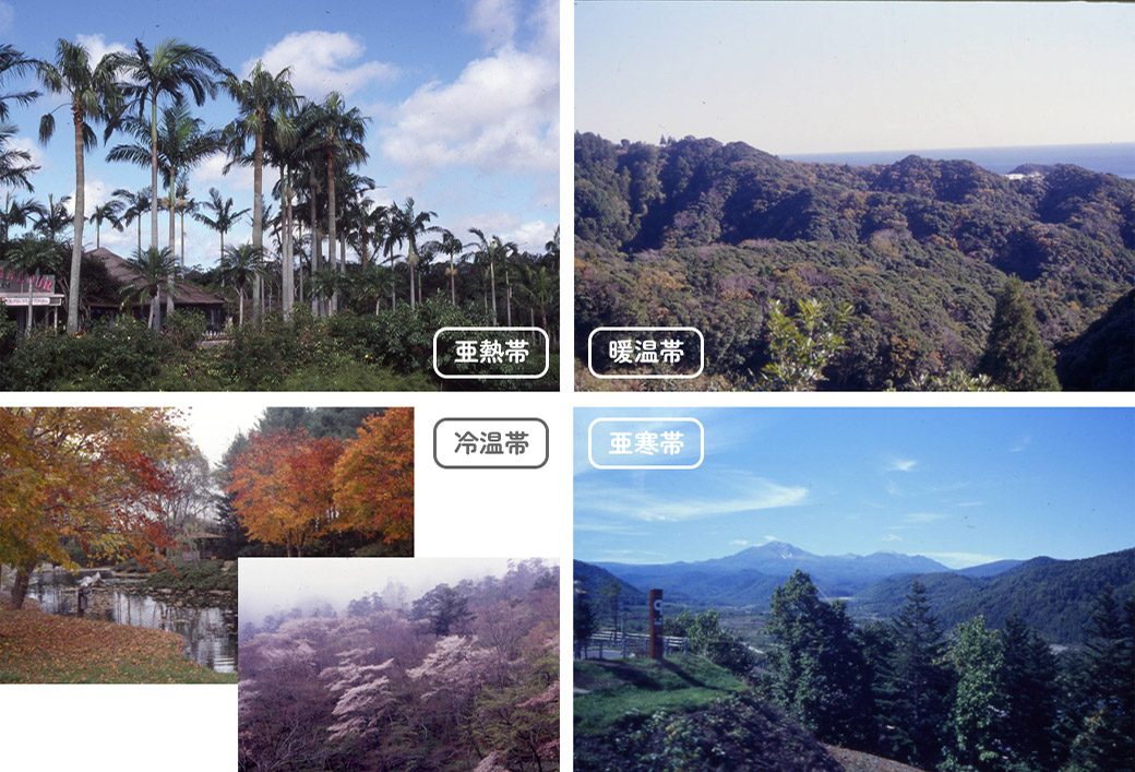 日本には四つの気候帯（水平）がある 「大八洲豊葦原瑞穂の国」（大陸東岸の夏雨気候帯）