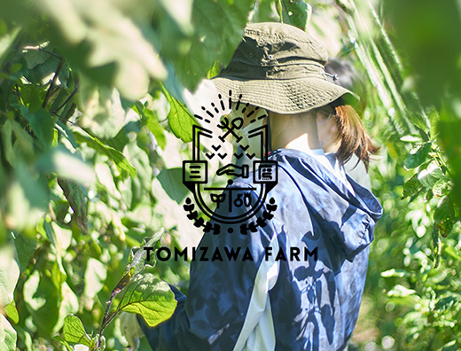 TOMIZAWA FARM | もりの人みっけ