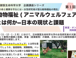 11月26日（土）「動物福祉（アニマルウェルフェア）とは何か – 日本の現況と課題」日本獣医生命科学大学 企画講座「動物の命と健康を守るには – 女性研究者が語る動物福祉の現在」（第1回）@三鷹ネットワーク大学