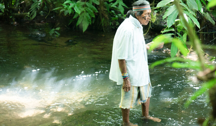 エクアドルのアマゾンに住む先住民のシャーマンたちが、アヤワスカを用いた儀式を行う理由。現代にも息づく森の精霊と叡智